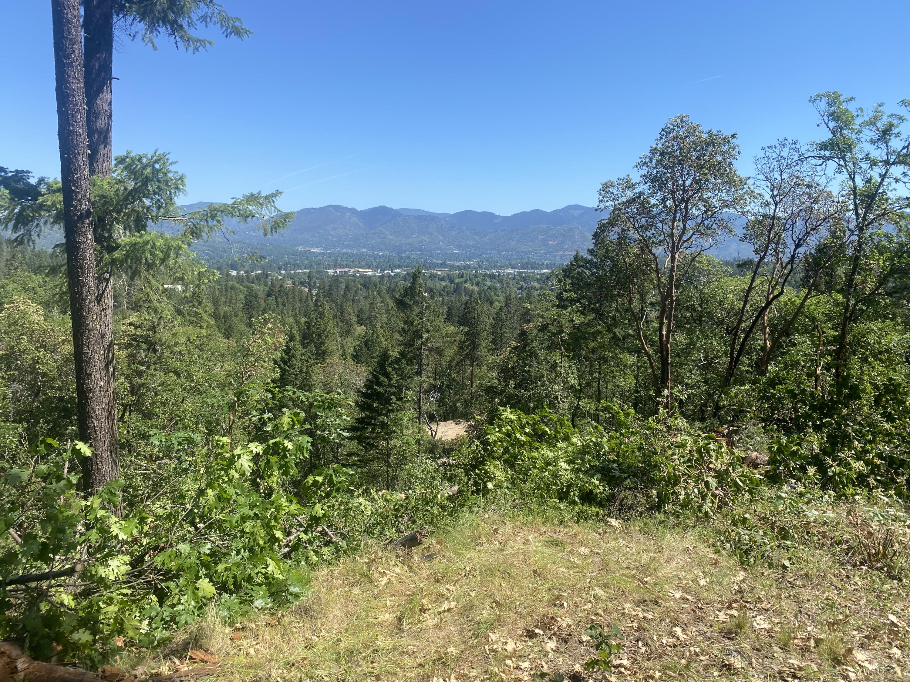 Larkin Heights (pud) - Land