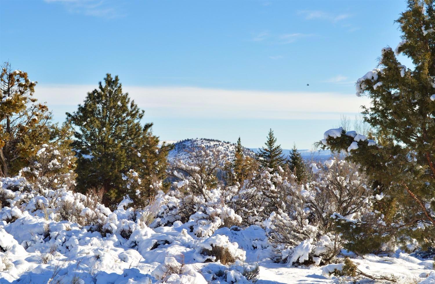 Hillside Park - Land