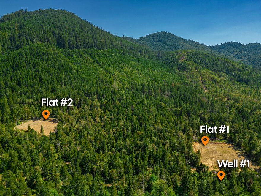 2 wells, 2 clear pads, epic views, tranquility feel from the lush forests that surround you, abundant wildlife, firewood for life, what else can you ask for? You have the feeling of living in the middle of the woods but not very far away from the heart of Grants Pass (approximately 15 minutes or less) and close to I-5. BLM lands that border parts of the property (exploring through the woods never ends). Lot lines pictured are approximate and property has not been surveyed. Buyer to complete due diligence pertaining to lot size, use, etc. No power to property.