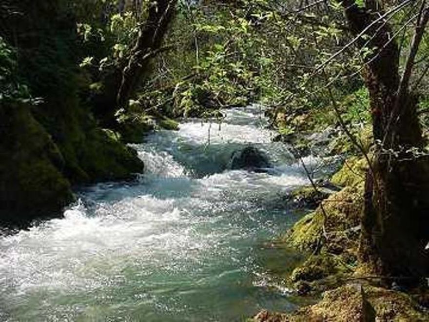 Get your piece of the Oregon Dream in this beautiful, south-facing, private setting with springs and a pond on gorgeous, year-round Shan Creek with irrigation rights! Septic system, underground utilities & the gated driveway are already in to the homesite. Build the custom home of your dreams or use the seller's plans & take advantage of the existing foundation. Then run down the road less than a mile to one of the finest Salmon fishing holes on the entire, mighty Rogue River, the famous Finley Bend. And just a mile and a half to scenic Griffin Park with its lovely camping & day-use facilities, beach & boat ramp. There's even some quality, marketable timber & good firewood for that cozy wood fireplace. Property Zoned for 2.5 acre lots. Buyer to do their own due diligence regarding possible subdivision. The owner may finance the property for the buyer. Call & come see this beautiful property today!