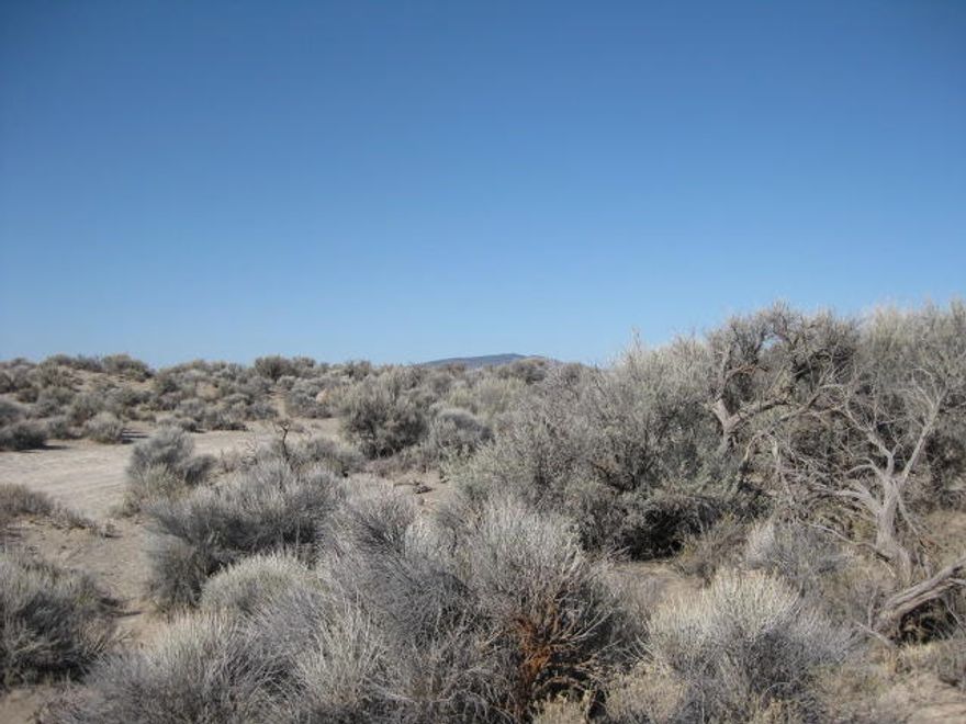 Get away and off the grid on this 20 acres. Enjoy the hills on this property.  Enjoy the beautiful sunrises & sunsets in the high desert. Enjoy the wildlife as it meanders through. NW of Christmas Valley where you can go and have a meal at one of the local restaurants, pick up groceries, gas, supplies and more. Conditional Use Permit required to build. Buyer to do their due diligence.  4-wheel Dr./AWD likely required to access this property. SE property corner approximate coordinate is: 43.272221,-120.81920