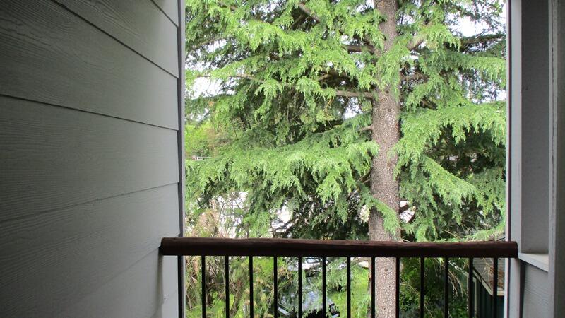 Maple Park Estates - Residential