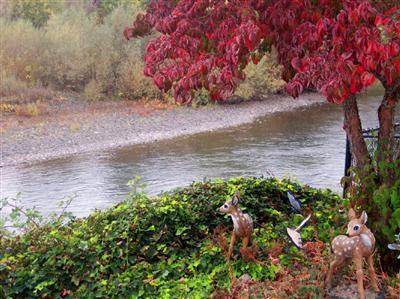 Rogue Lea Estates - Residential