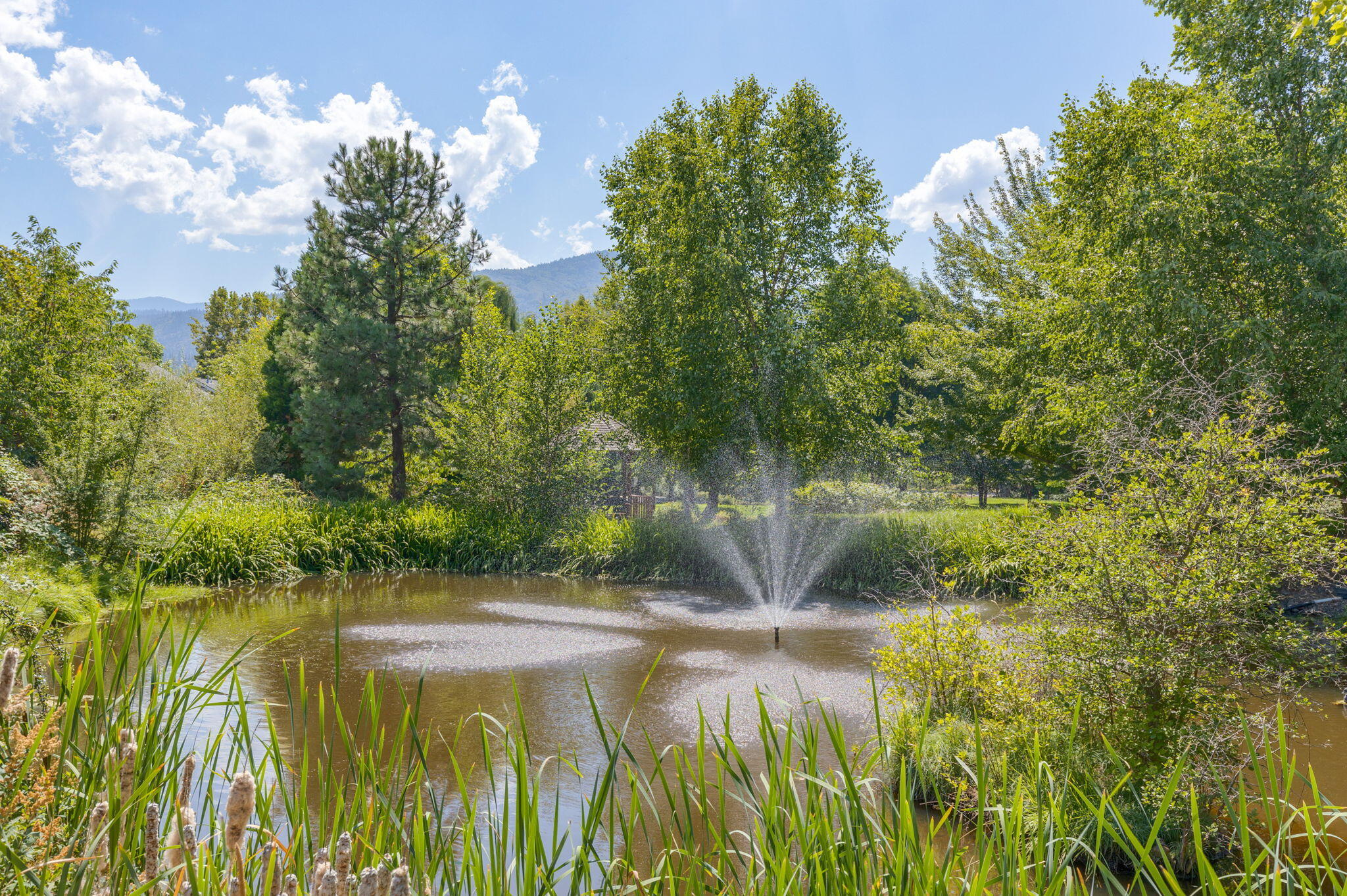 Mountain Meadows Subdivision Phase 1 - Residential