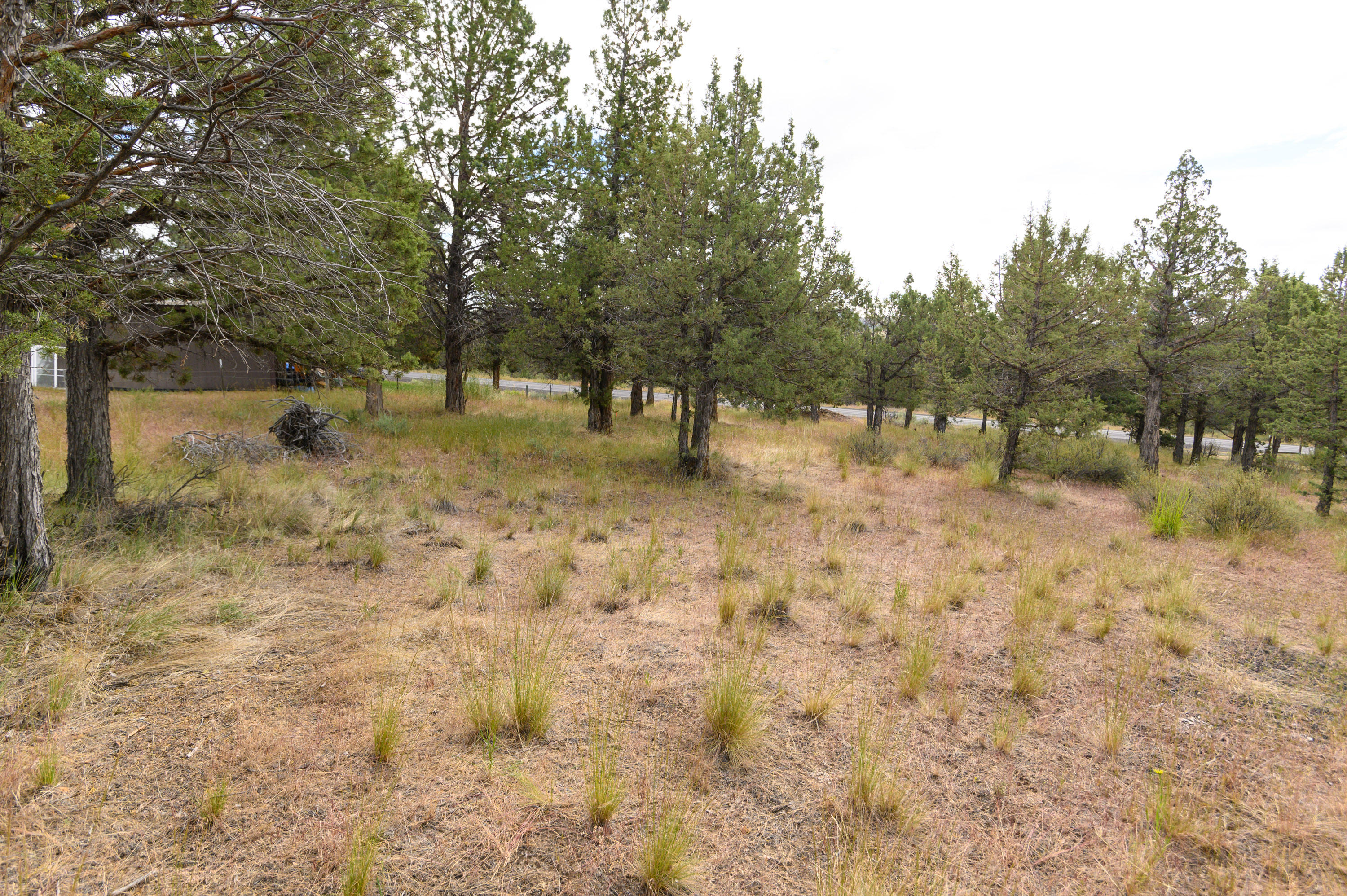 Idleway Acres - Land