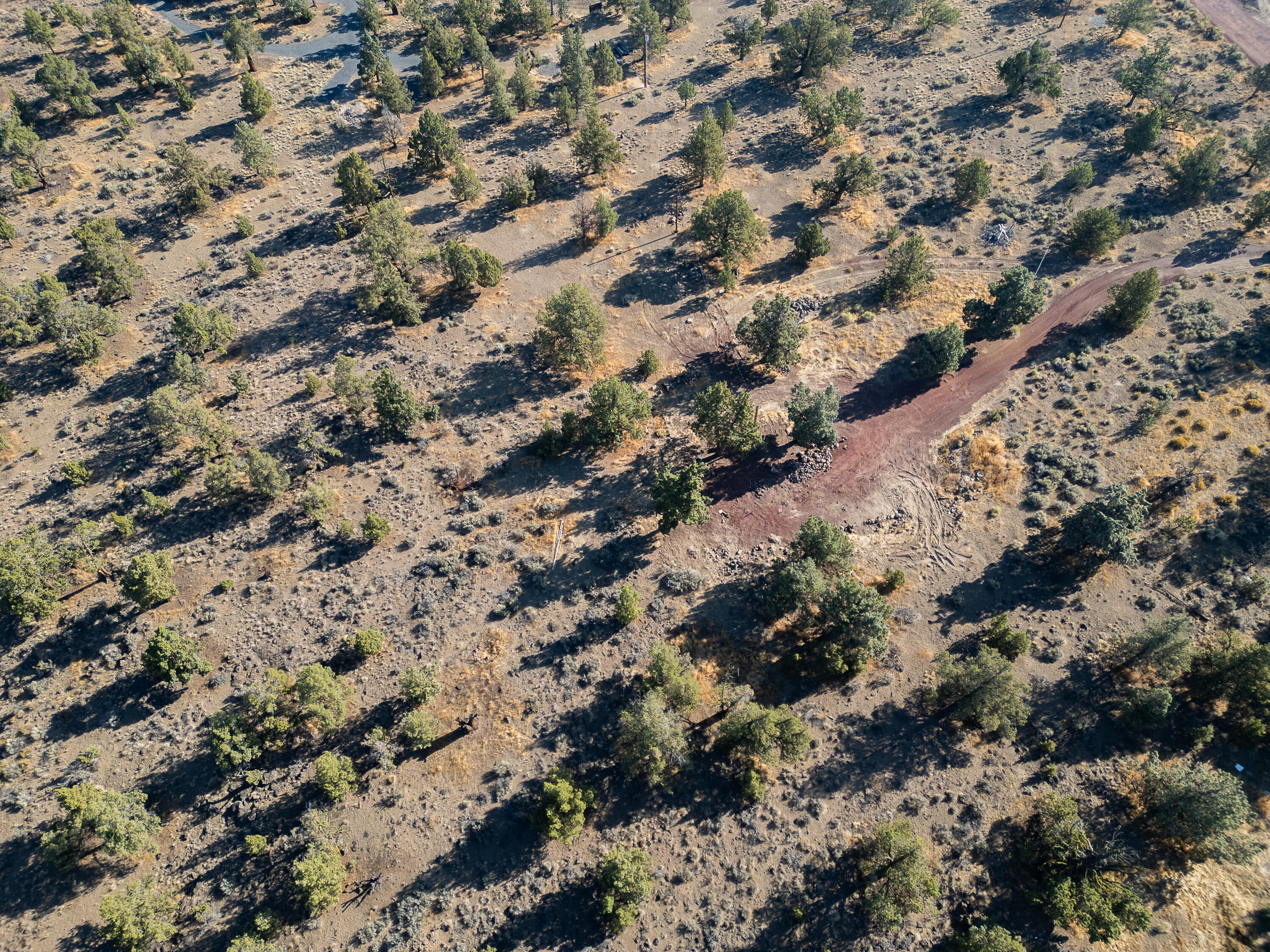 Whispering Pines - Land