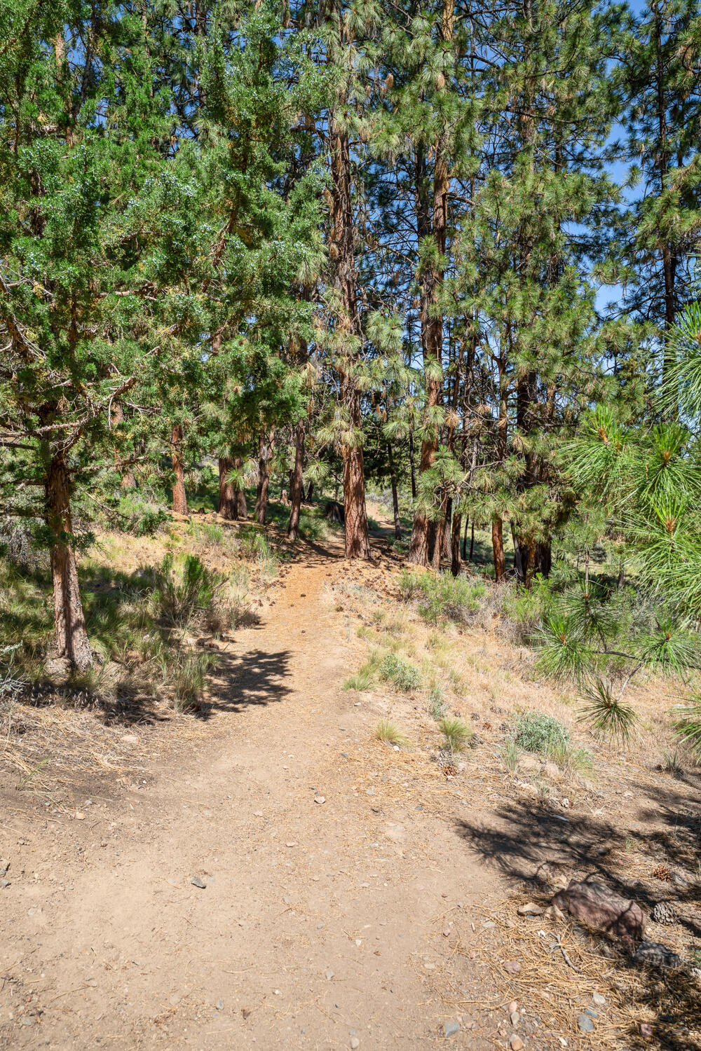 Miller Heights - Residential