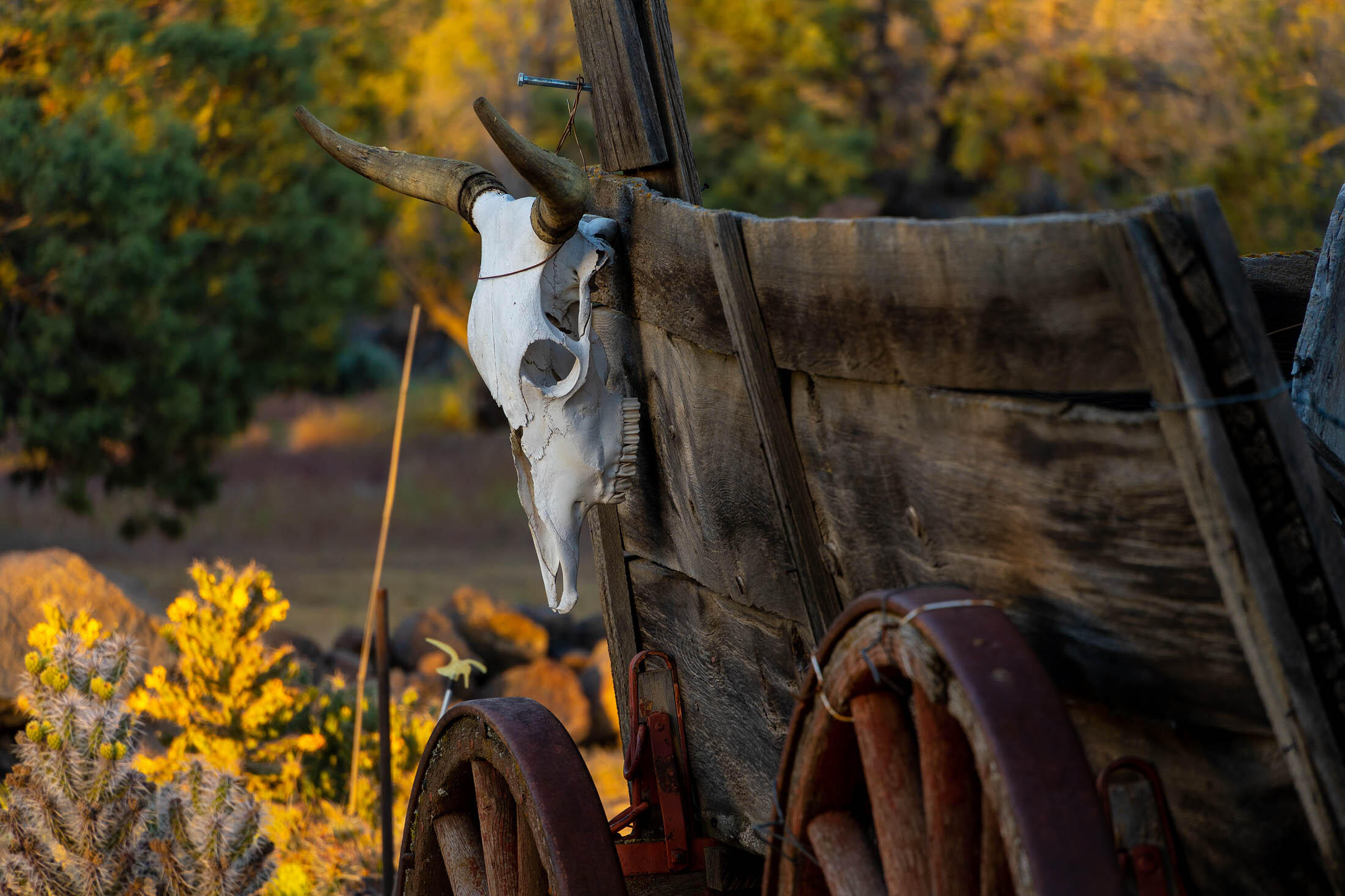 Woody Acres - Residential