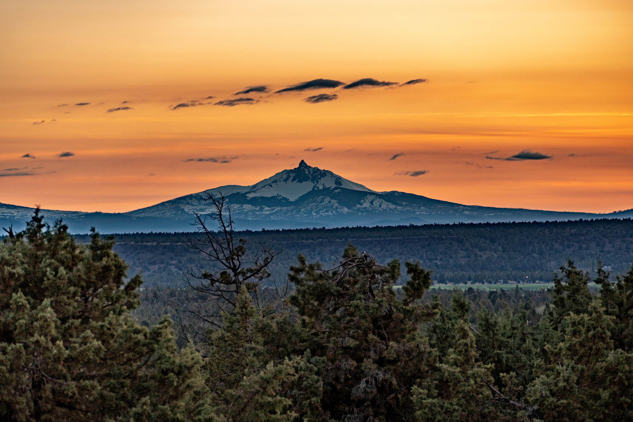 Woody Acres - Residential