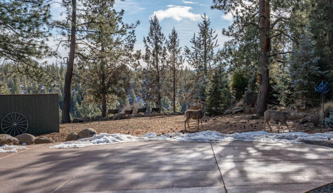 Junipine Acres - Residential