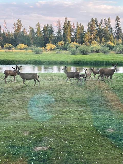 River Forest Acres - Residential