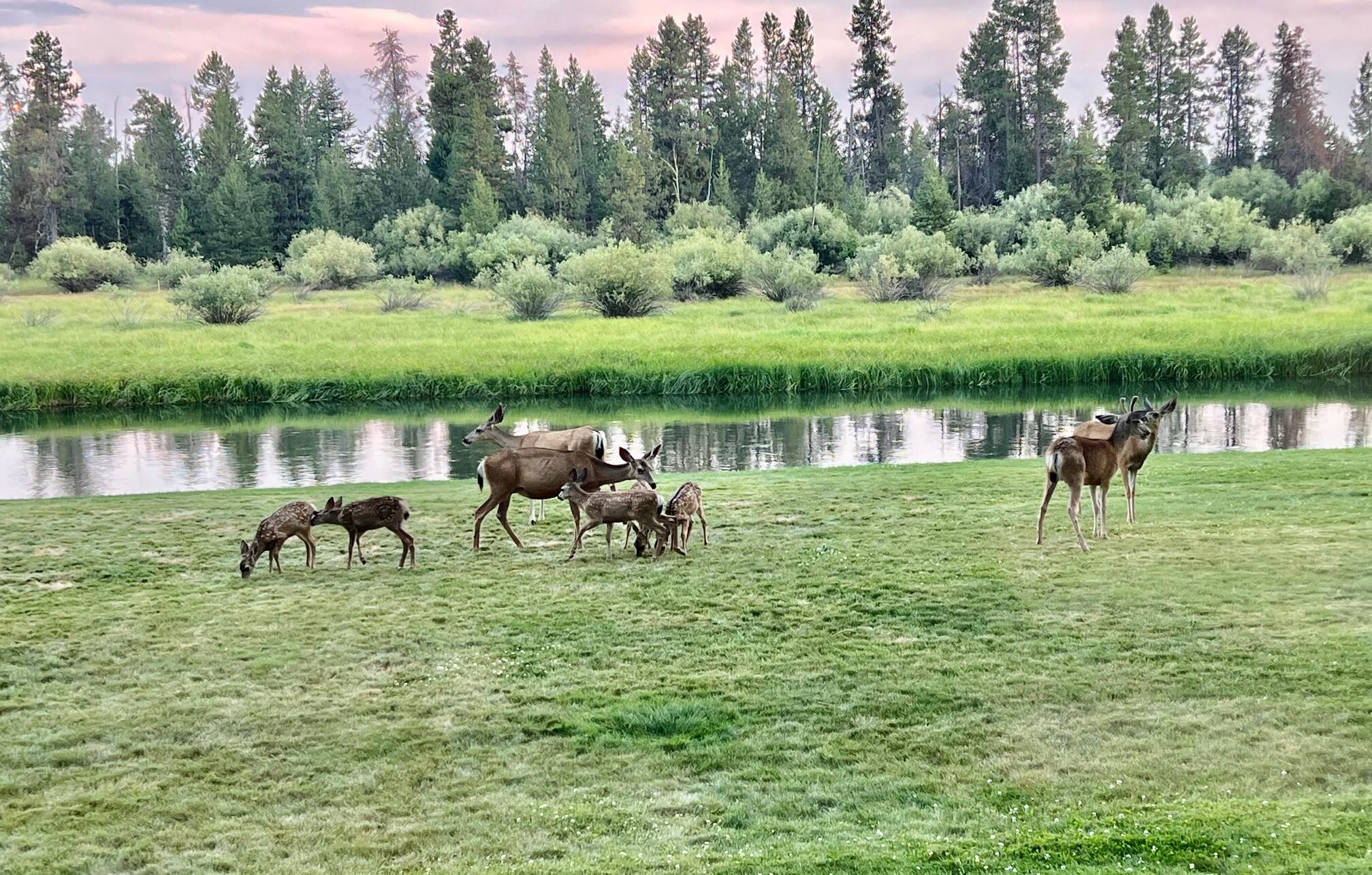 River Forest Acres - Residential