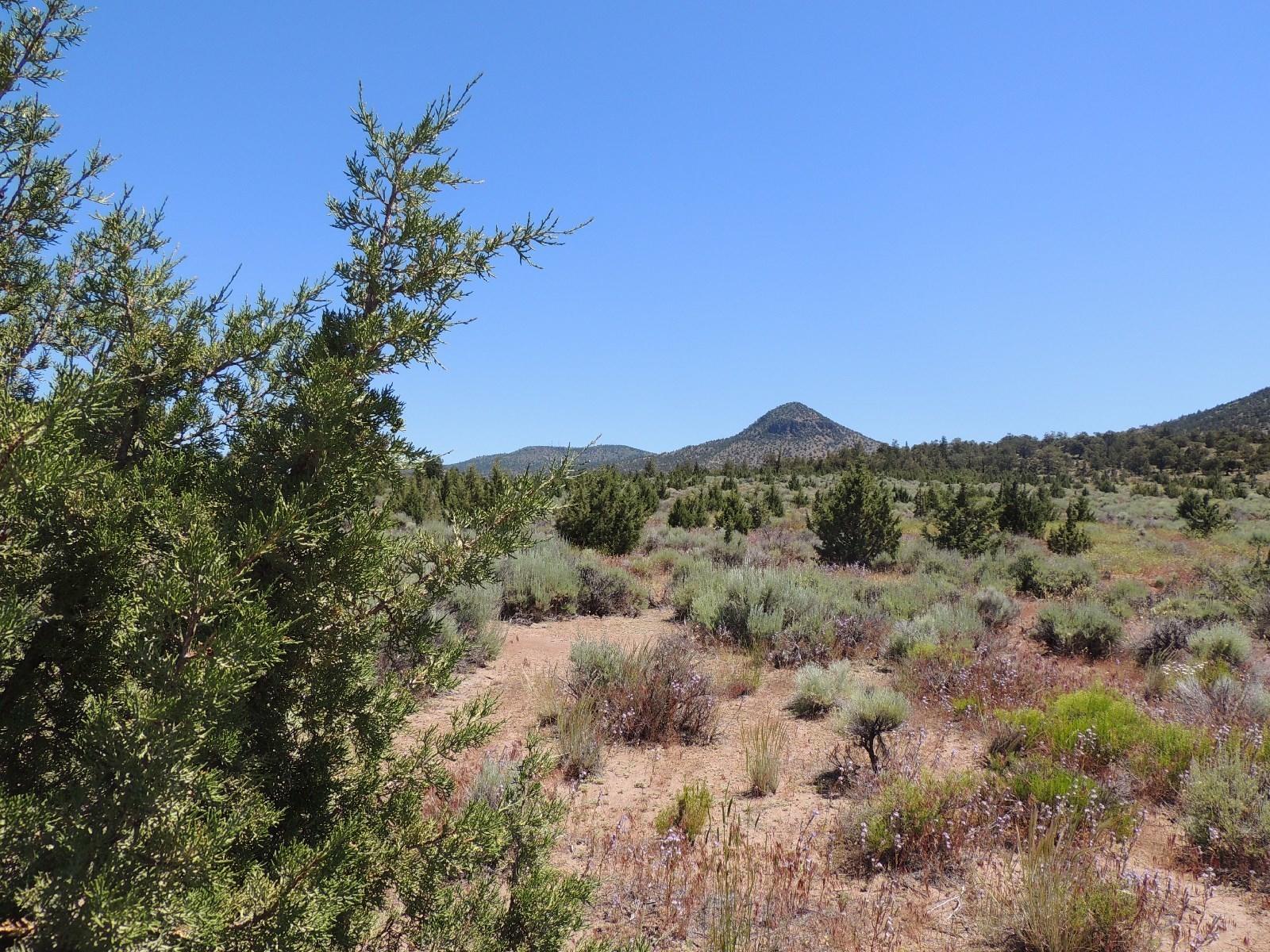 Brasada Ranch - Land