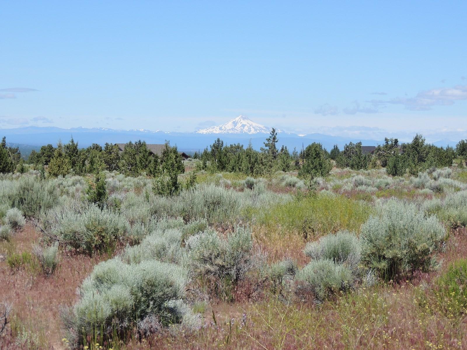 Brasada Ranch - Land