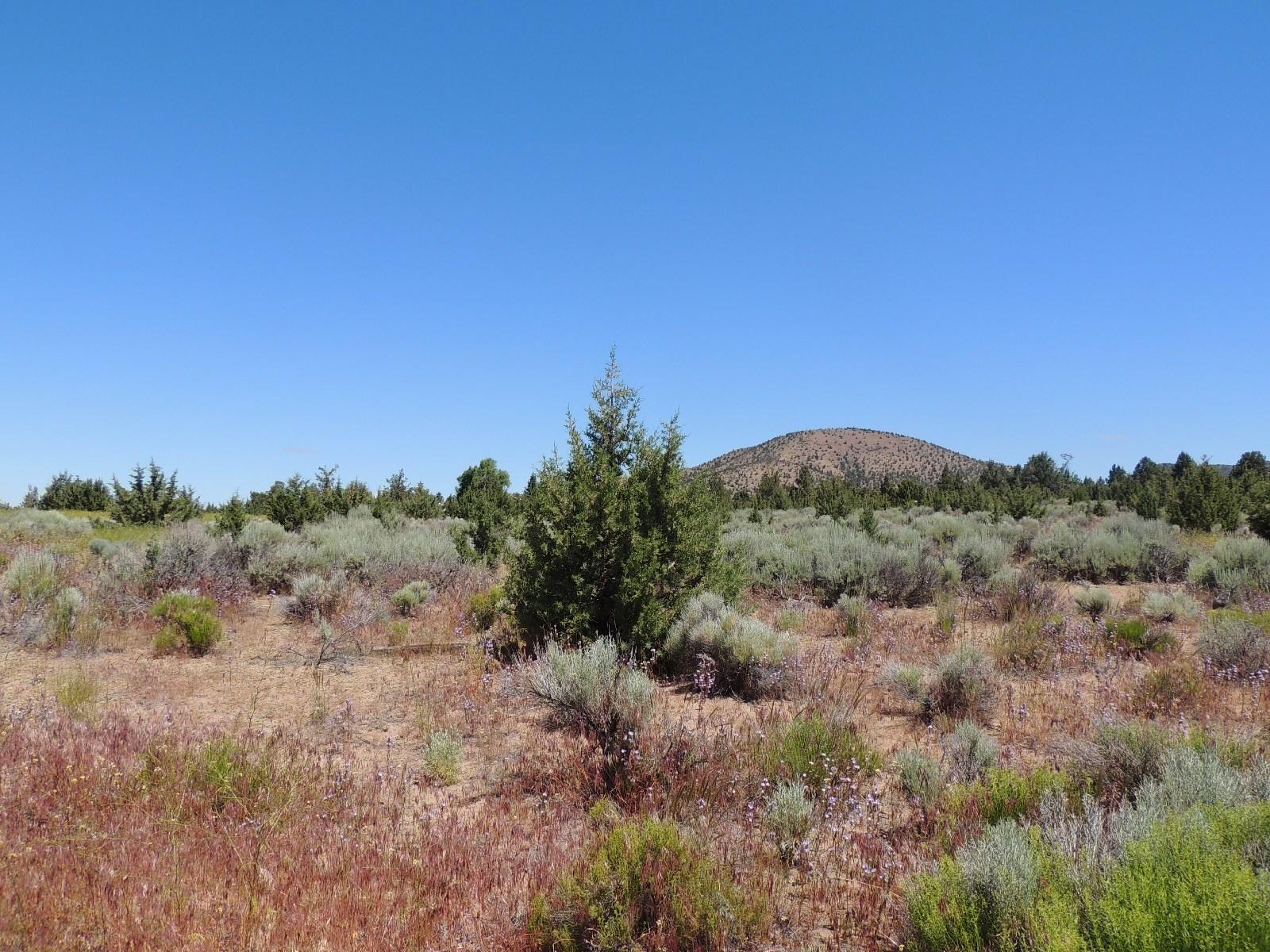 Brasada Ranch - Land