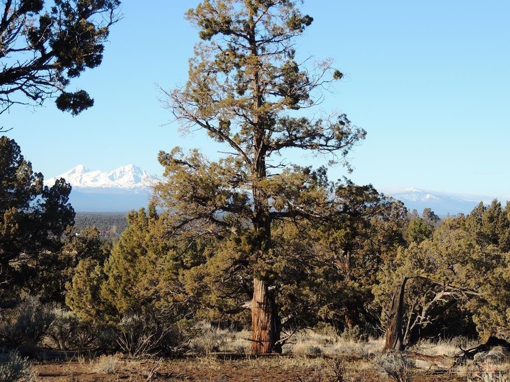 Brasada Ranch - Land