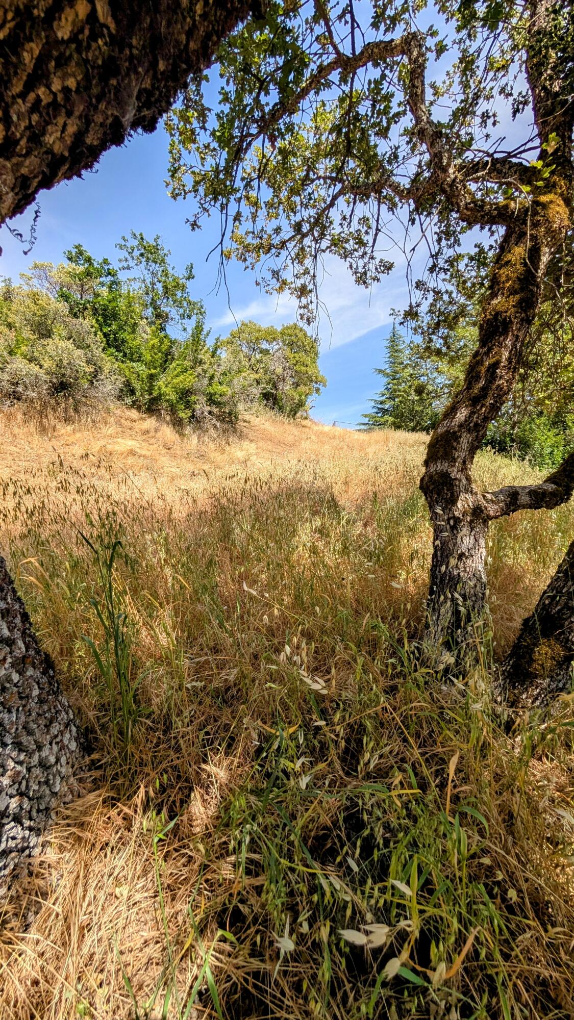 Alta Vista Heights Subdivision - Land