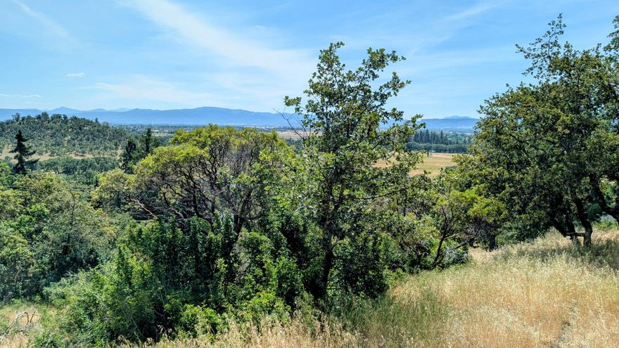 Beautiful views of mountains and valleys and Table Rock, above Eagle Point. Close to the Eagle Point Golf Course and many amenities on a dead end, quiet street. Power pole is on the property, and a roughed in driveway, this lot is ready for your dream build. A beautiful community awaits you here! Owner is an Oregon licensed Realtor.
