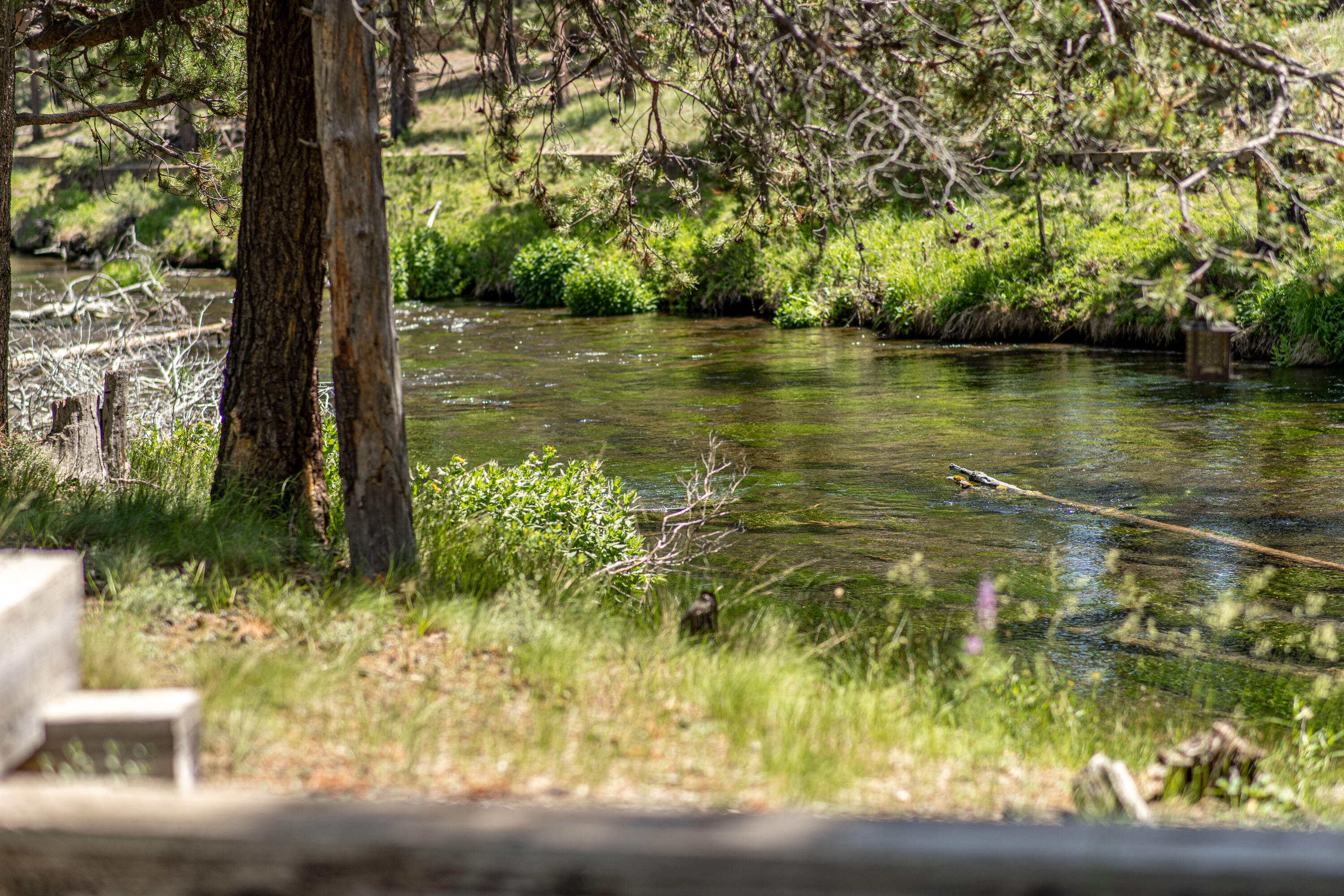 Fall River Estate - Residential