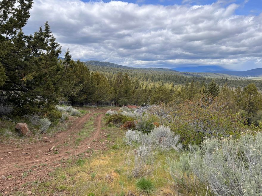 Located in the desirable Cedar Trail Area this 4.01 lot has fantastic views of the forest and Electric is available at the road at end of drive .Can be sold with the 2 adjoining properties to total  20.09 Acres .