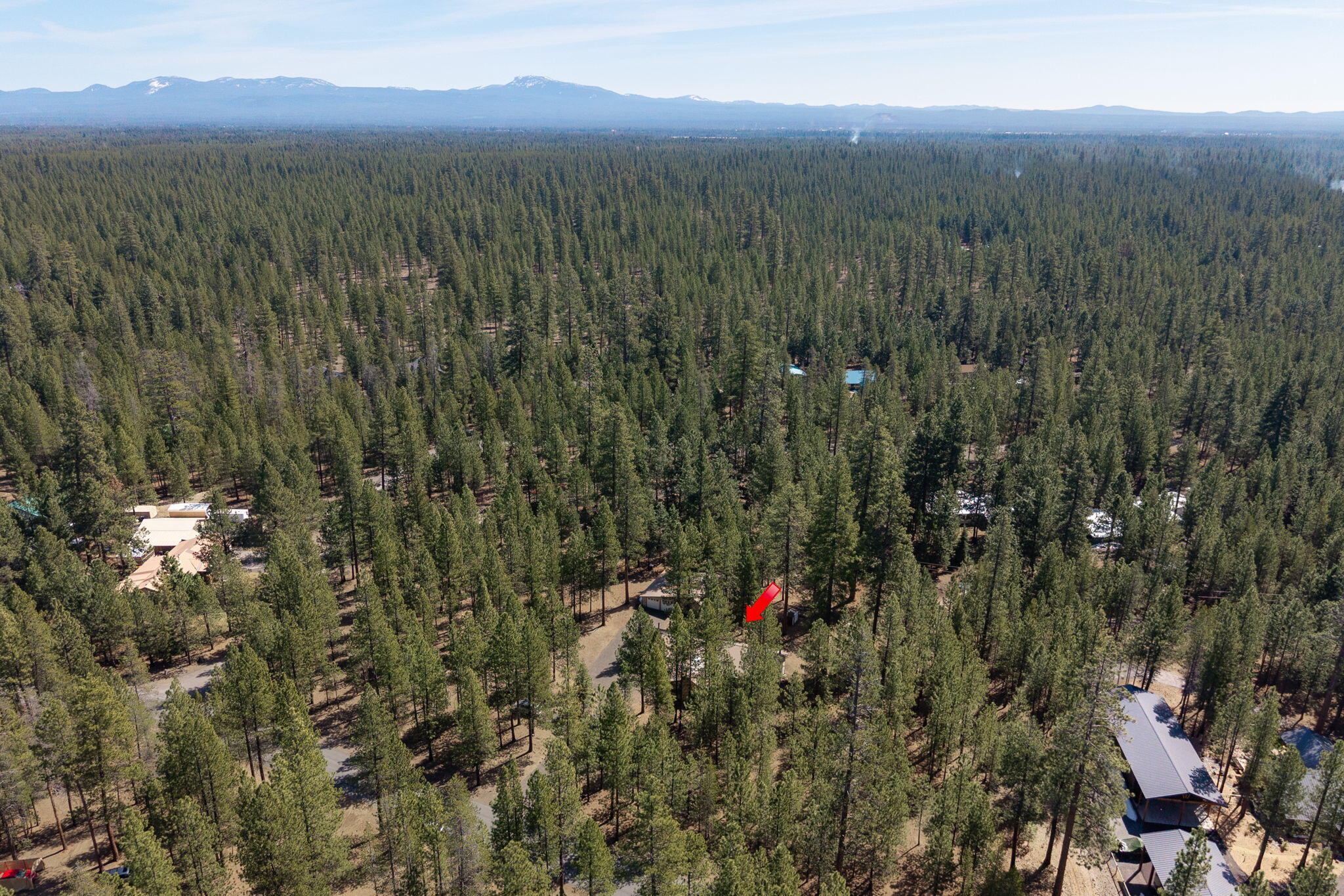 Ponderosa Pines - Residential