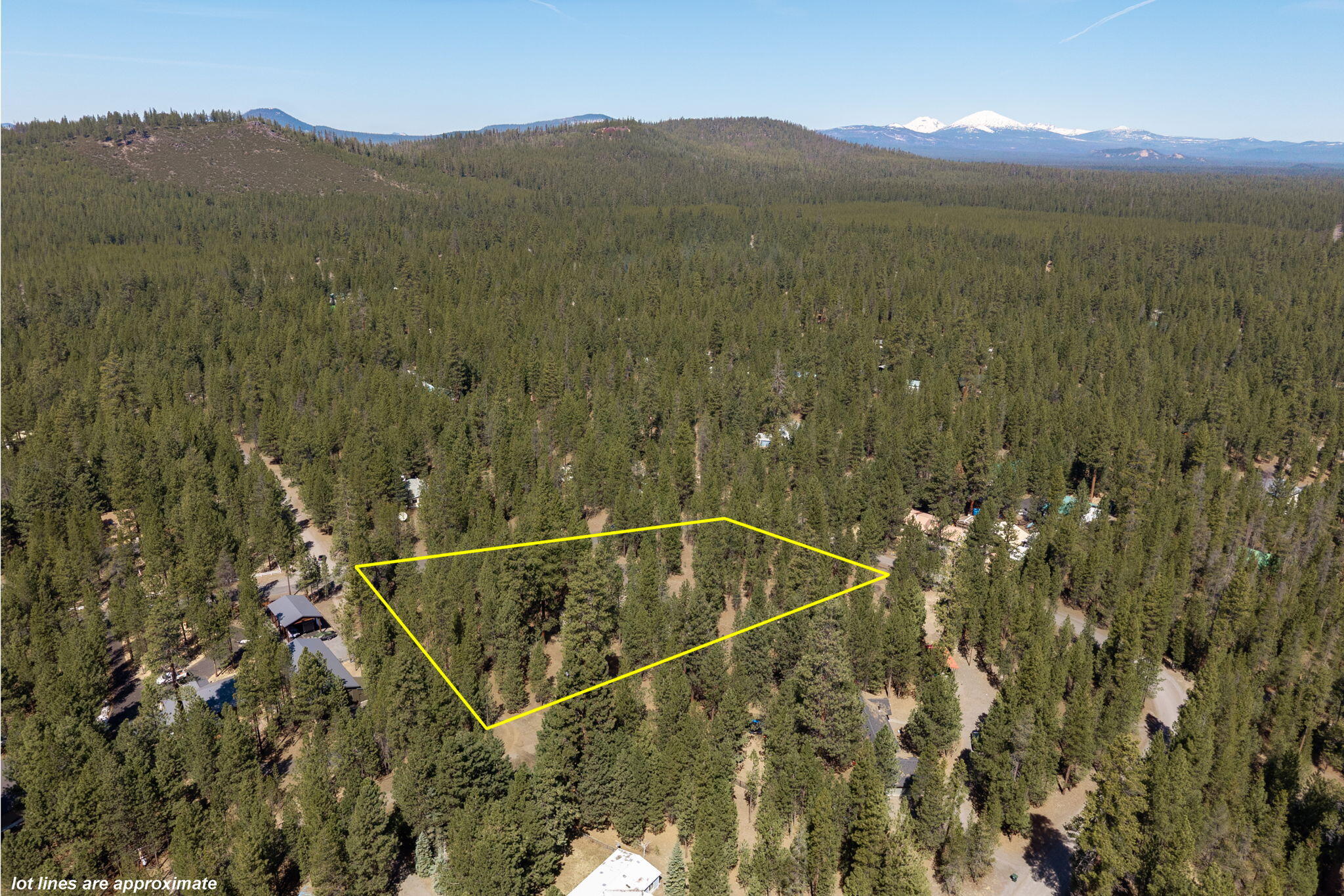 Ponderosa Pines - Residential