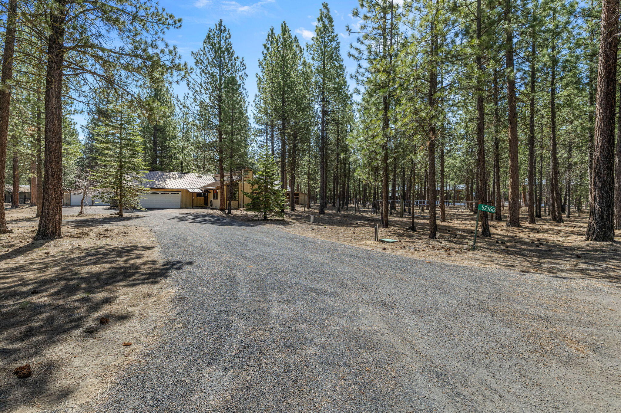 Ponderosa Pines - Residential