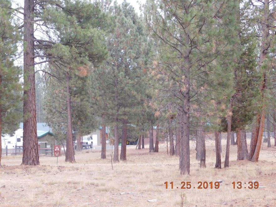Gorgeous & Stately Ponderosa Pines on this 1.24 Acre Parcel. Well with Well House already on the Property. Located in Wonderful Little River Ranch & surrounded by public and private forest lands. Residents of Little River Ranch have several access areas to the Little Deschutes River. This is the last opportunity to own a parcel in this Pristine Area.