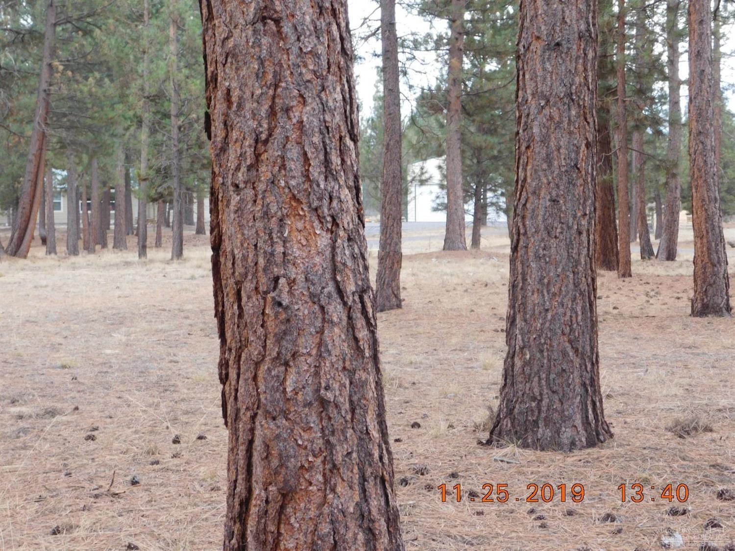 Little River Ranch - Land