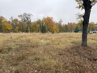 Merlin Townsite - Land