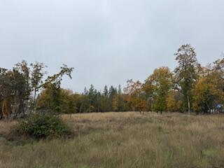 Merlin Townsite - Land