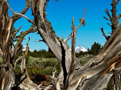 Tiny photo for 65925 Pronghorn Estates Drive, Bend, OR 97701 (MLS # 220212239)