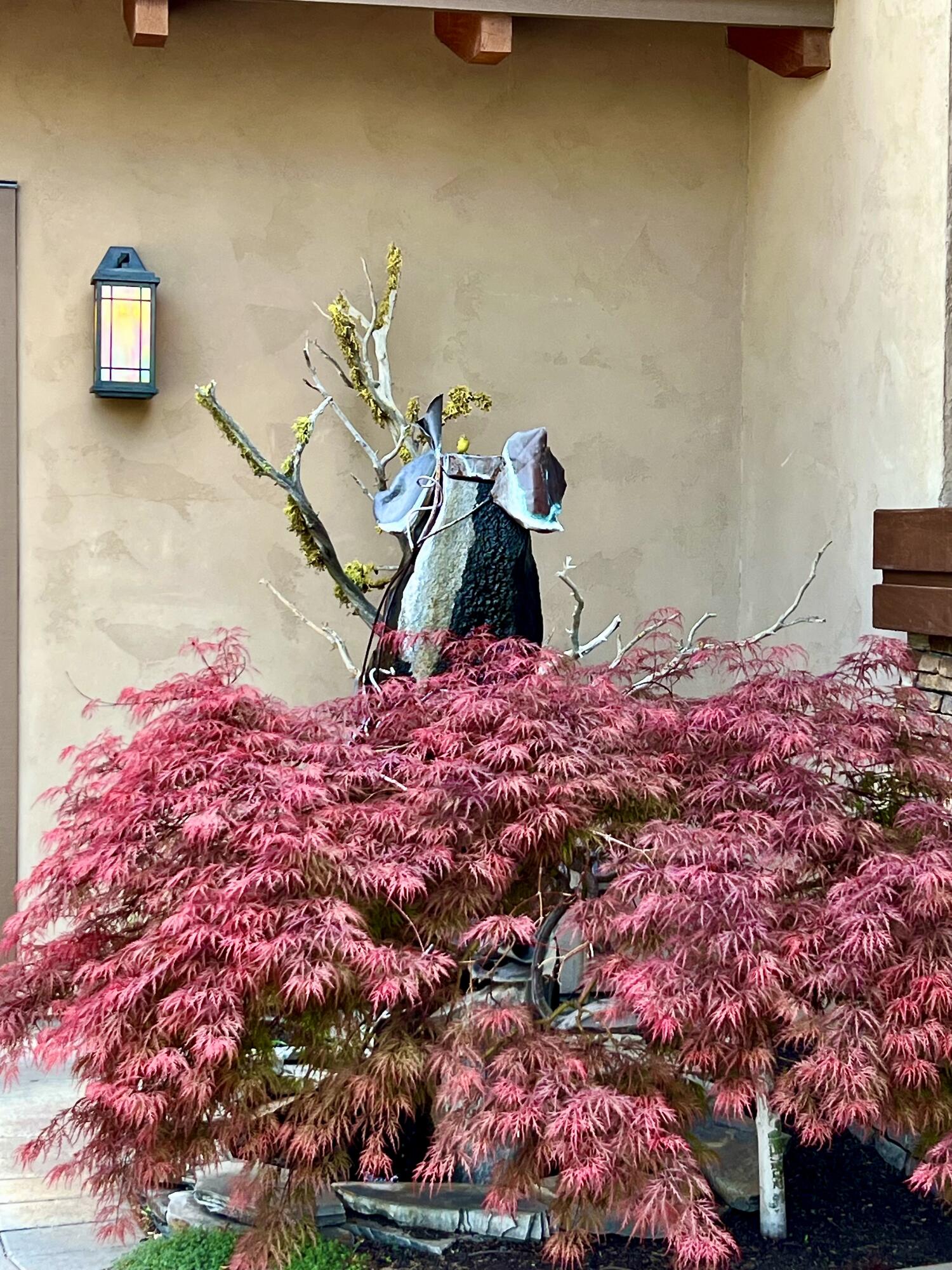 Pronghorn - Residential