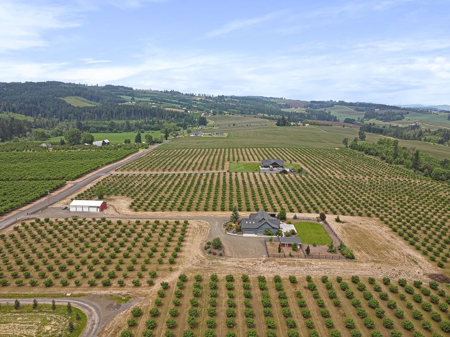 This beautifully manicured, highly productive 20+ acre Yamhill hazelnut farm can contribute to your portfolio while enriching you with amazing views from this totally peaceful location. The modern, remodeled open-concept home is designed to enhance and embrace the private and broad pastoral vistas. If you love outdoor living, gatherings on the patio or just watching the weather roll in while protected under covered porches, this is the home for you. Large 65X35 shop with 4 bays and office space.