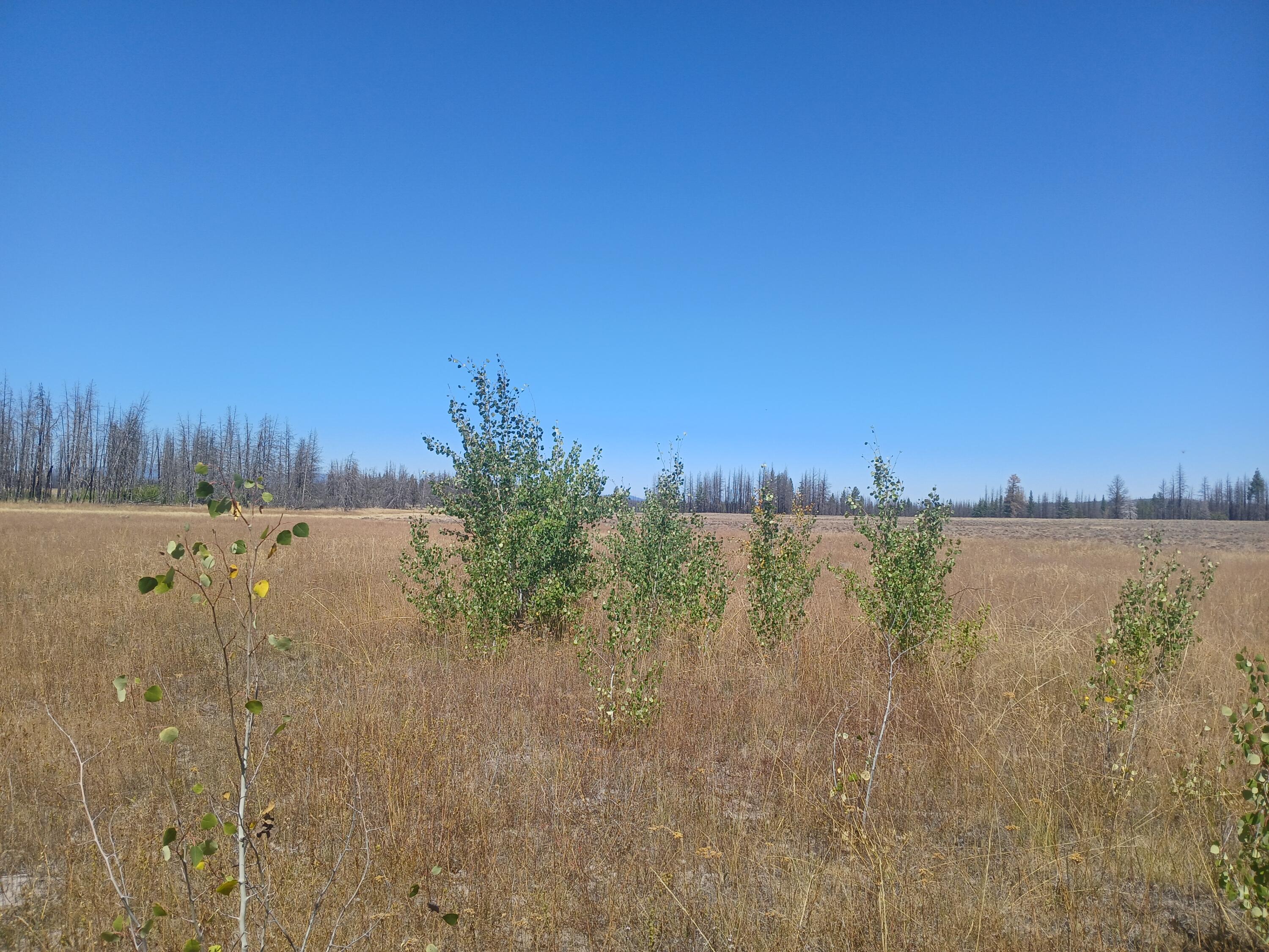 Klamath Falls Forest Estates -Sycan Unit - Land