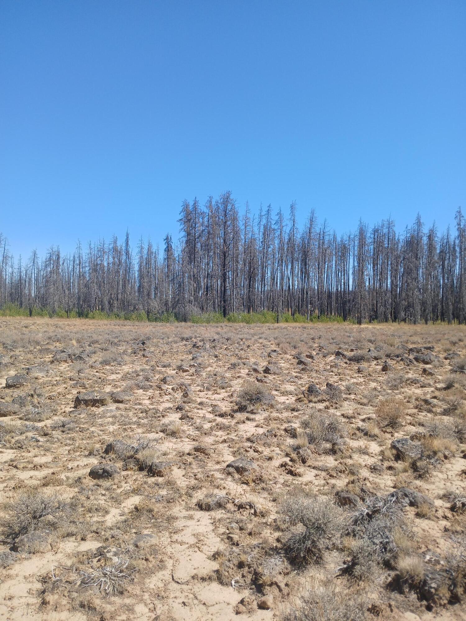 Klamath Falls Forest Estates -Sycan Unit - Land