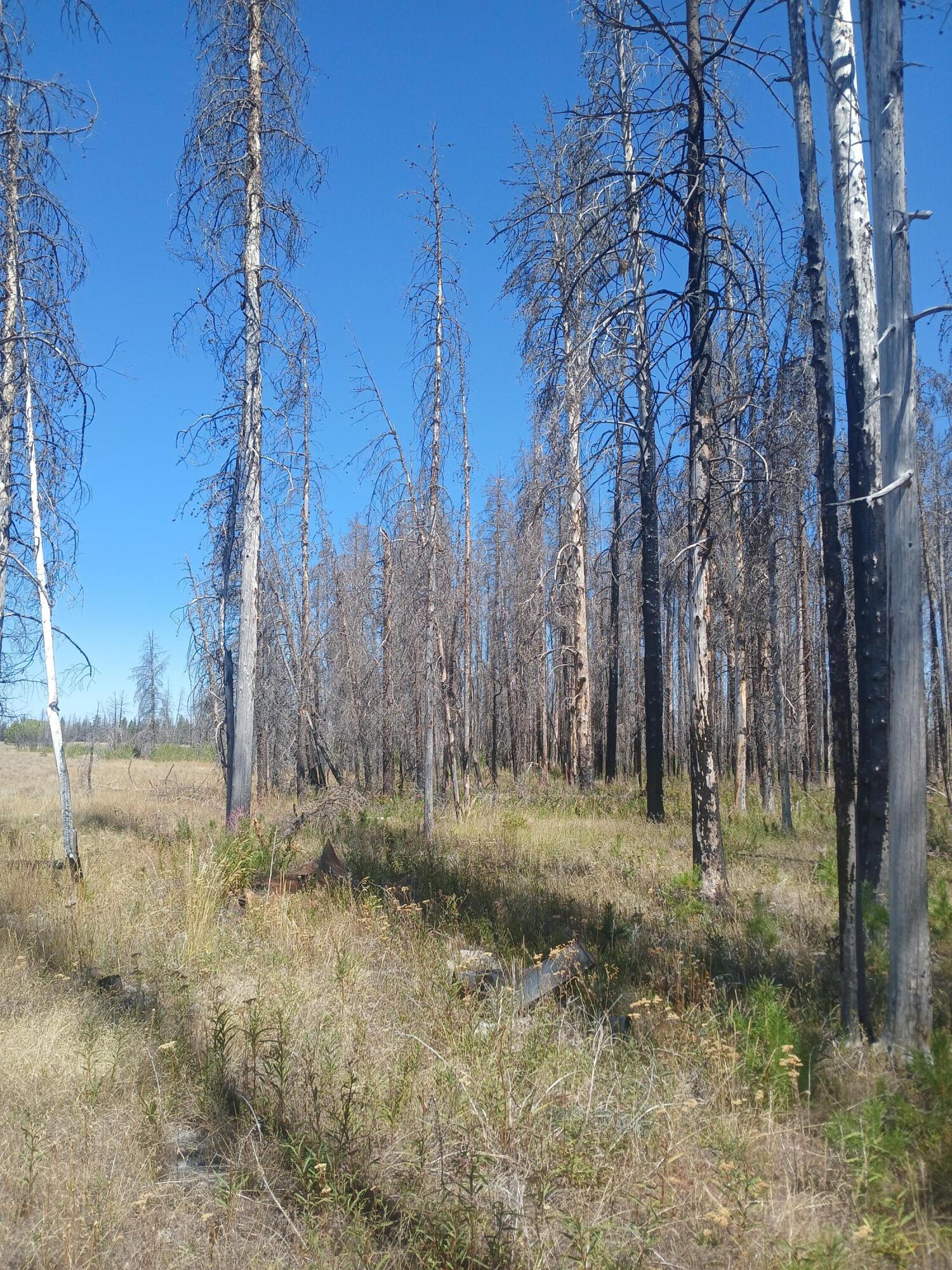 Klamath Falls Forest Estates -Sycan Unit - Land