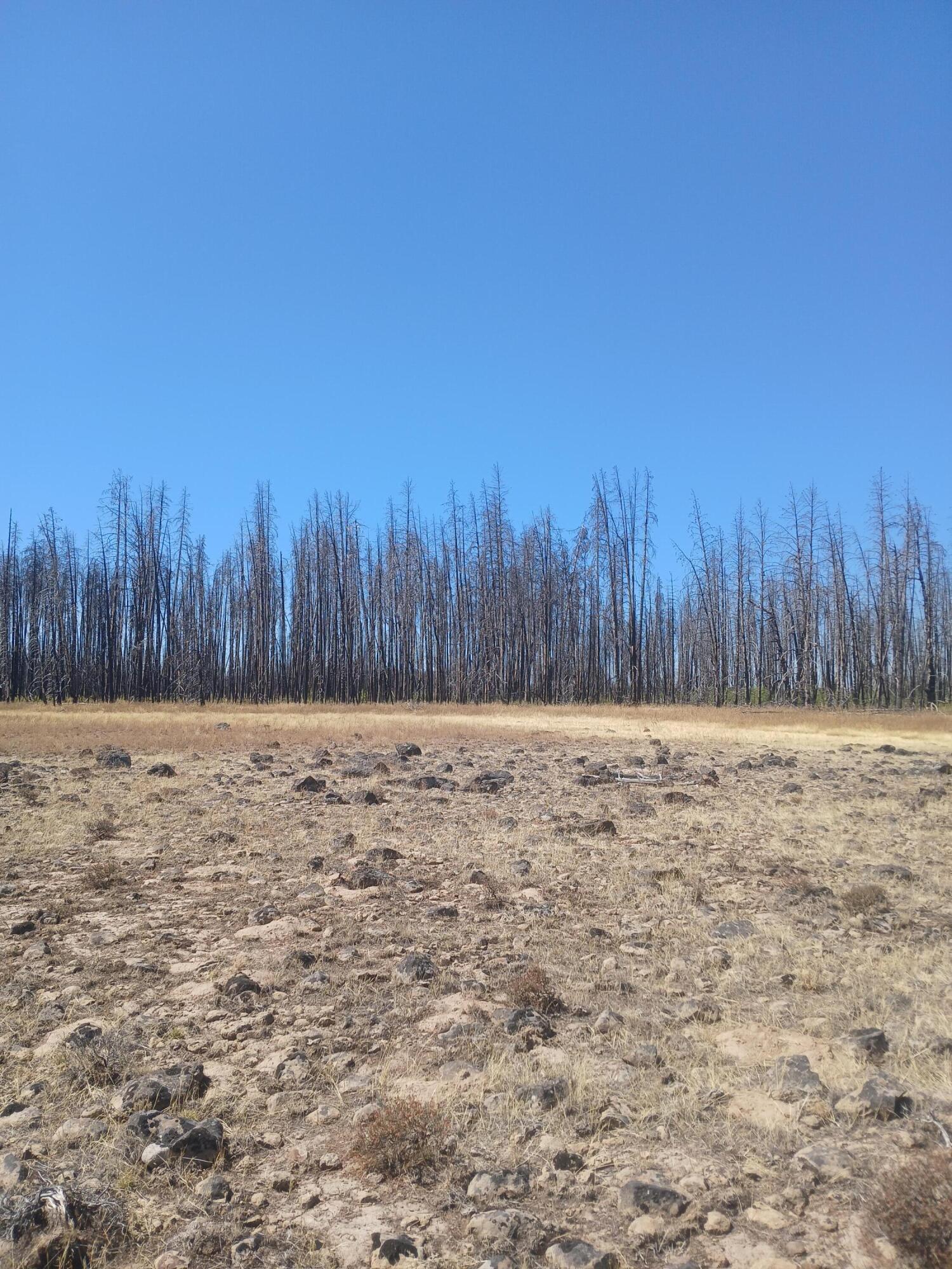 Klamath Falls Forest Estates -Sycan Unit - Land
