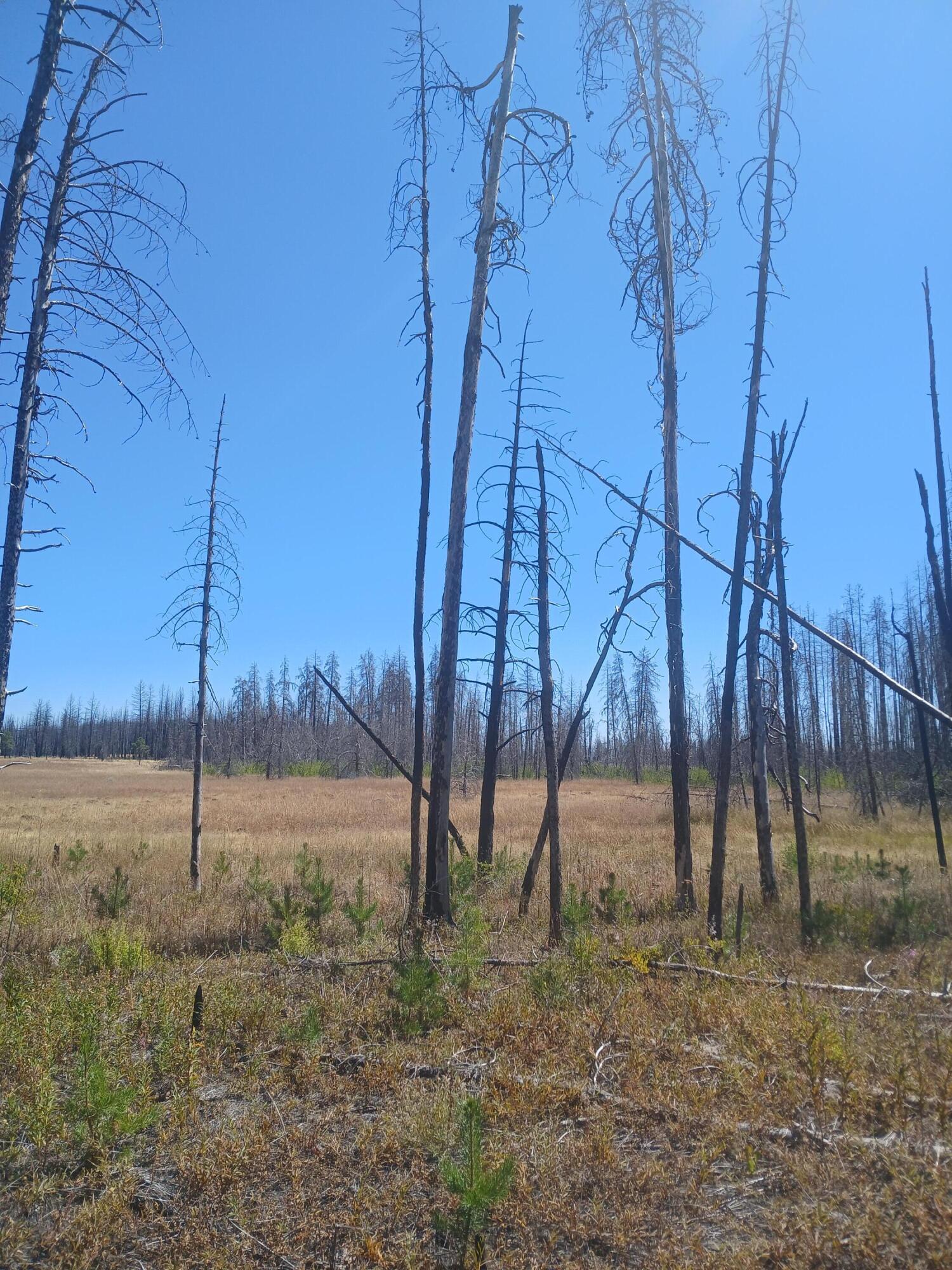 Klamath Falls Forest Estates -Sycan Unit - Land