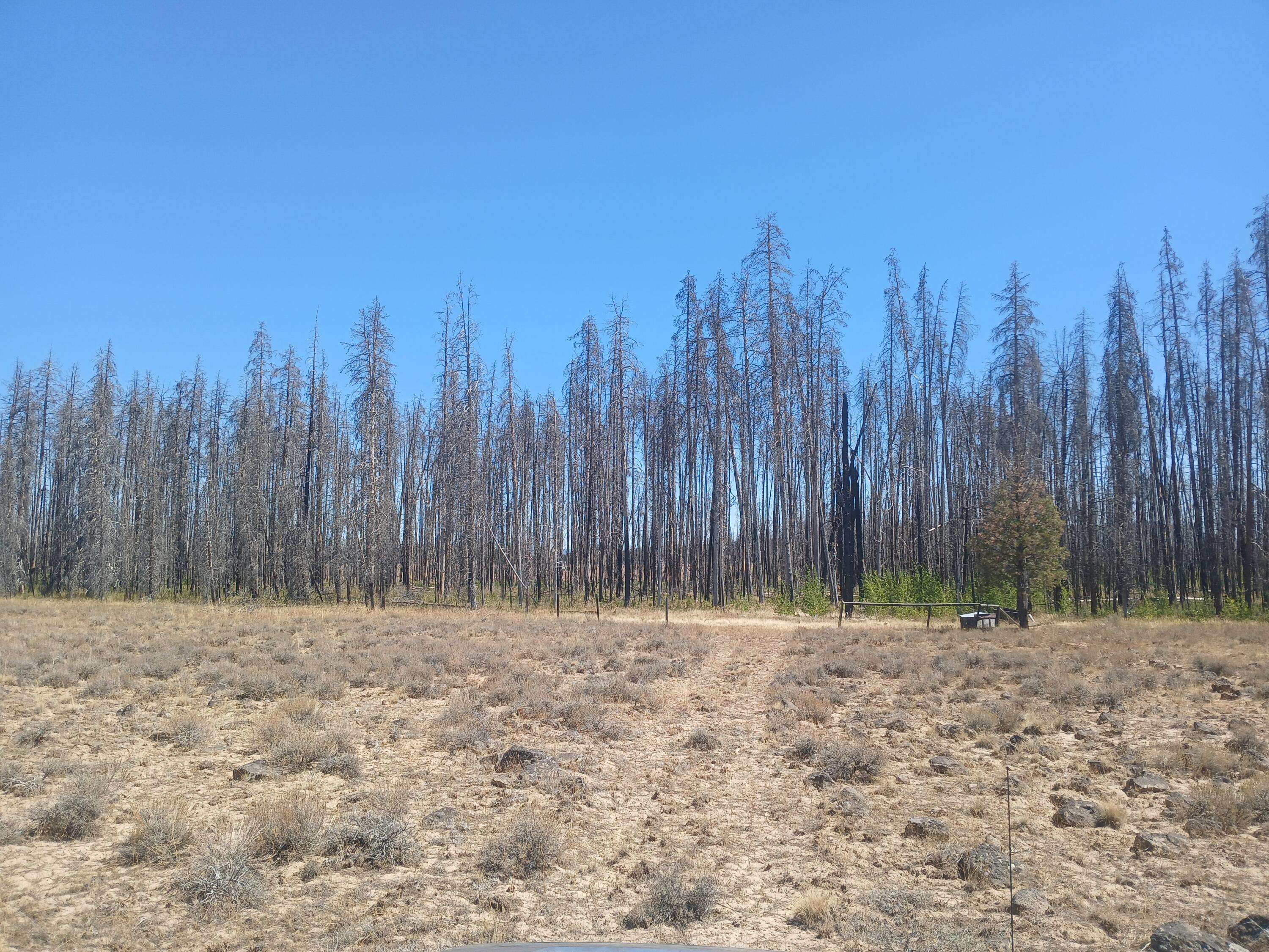 Klamath Falls Forest Estates -Sycan Unit - Land