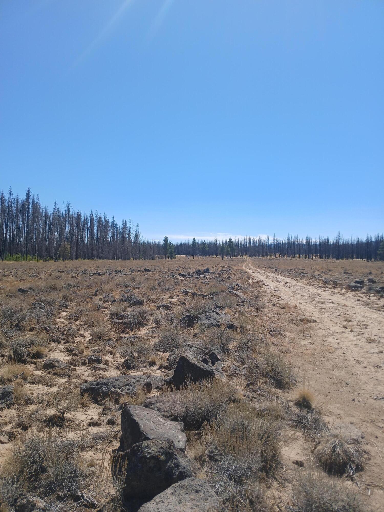 Klamath Falls Forest Estates -Sycan Unit - Land