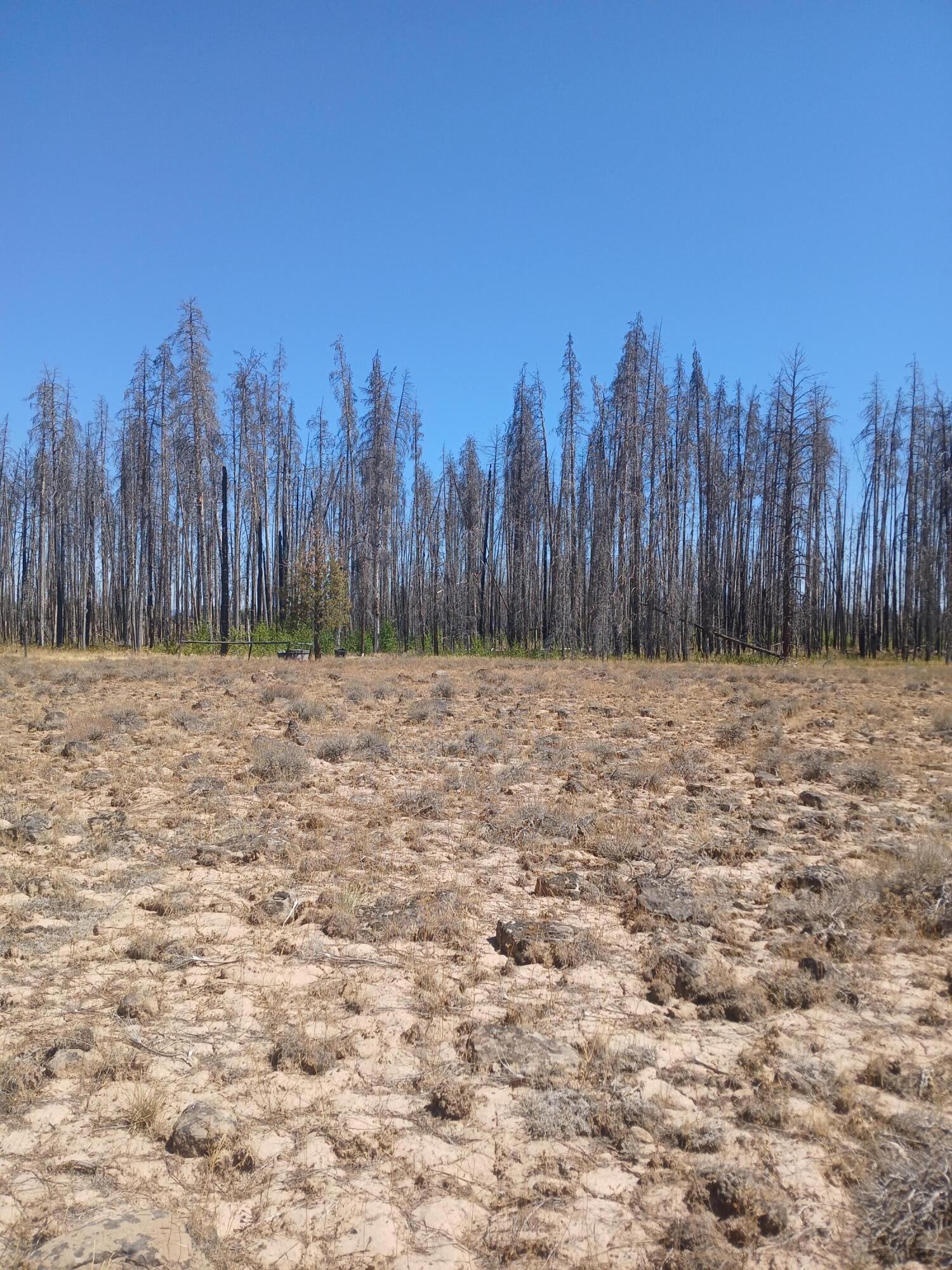 Klamath Falls Forest Estates -Sycan Unit - Land