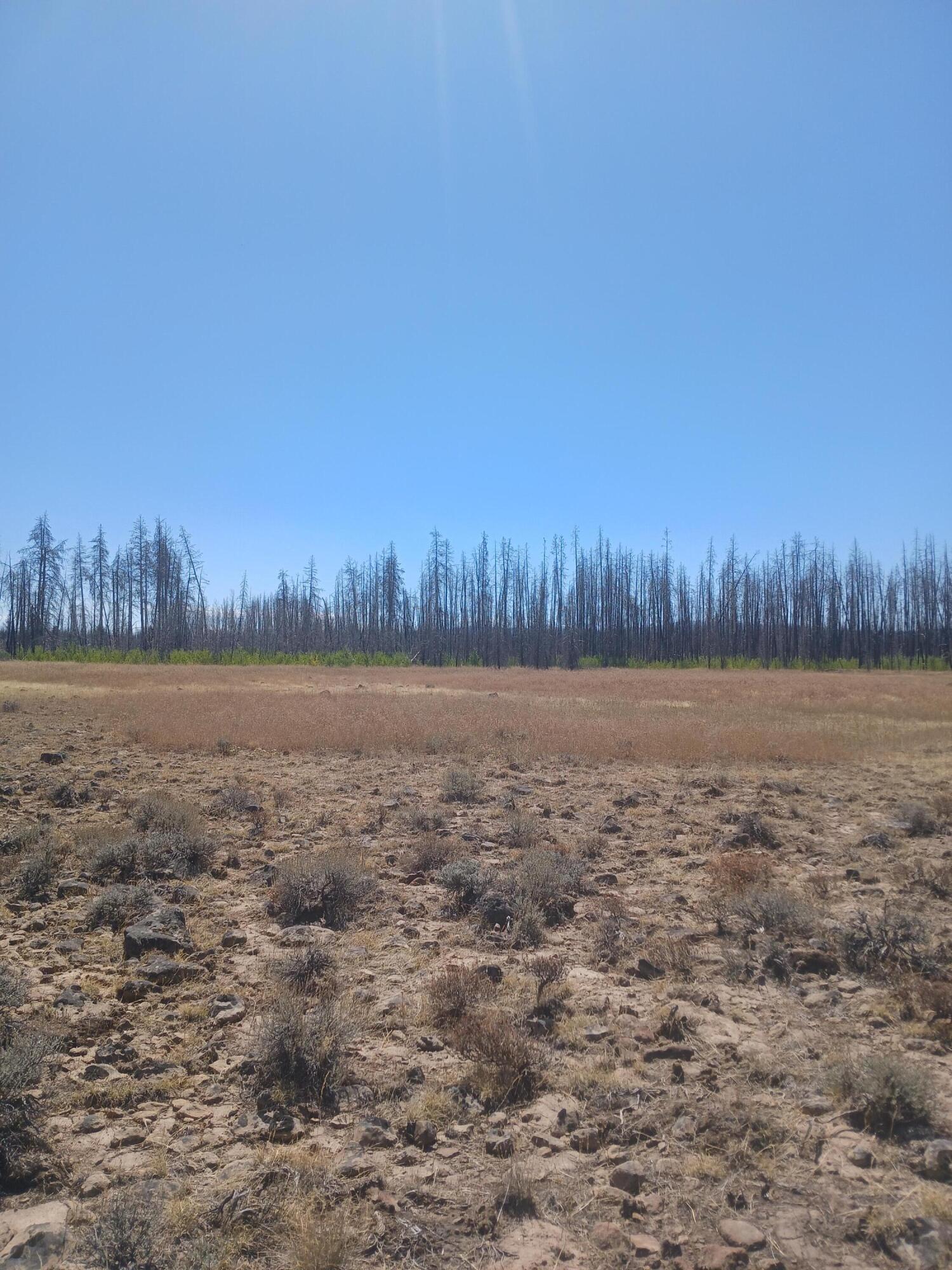 Klamath Falls Forest Estates -Sycan Unit - Land