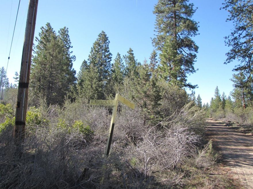 This is a nice lot located in the south end of what is called Klamath Falls Forrest Estates, an area subdivided during the 60's on Bly Mountain above Bonanza. Driving distance to Klamath Falls is about 30 miles. Lot across the back side of property is also available. Owner is not interested in carrying a contract.