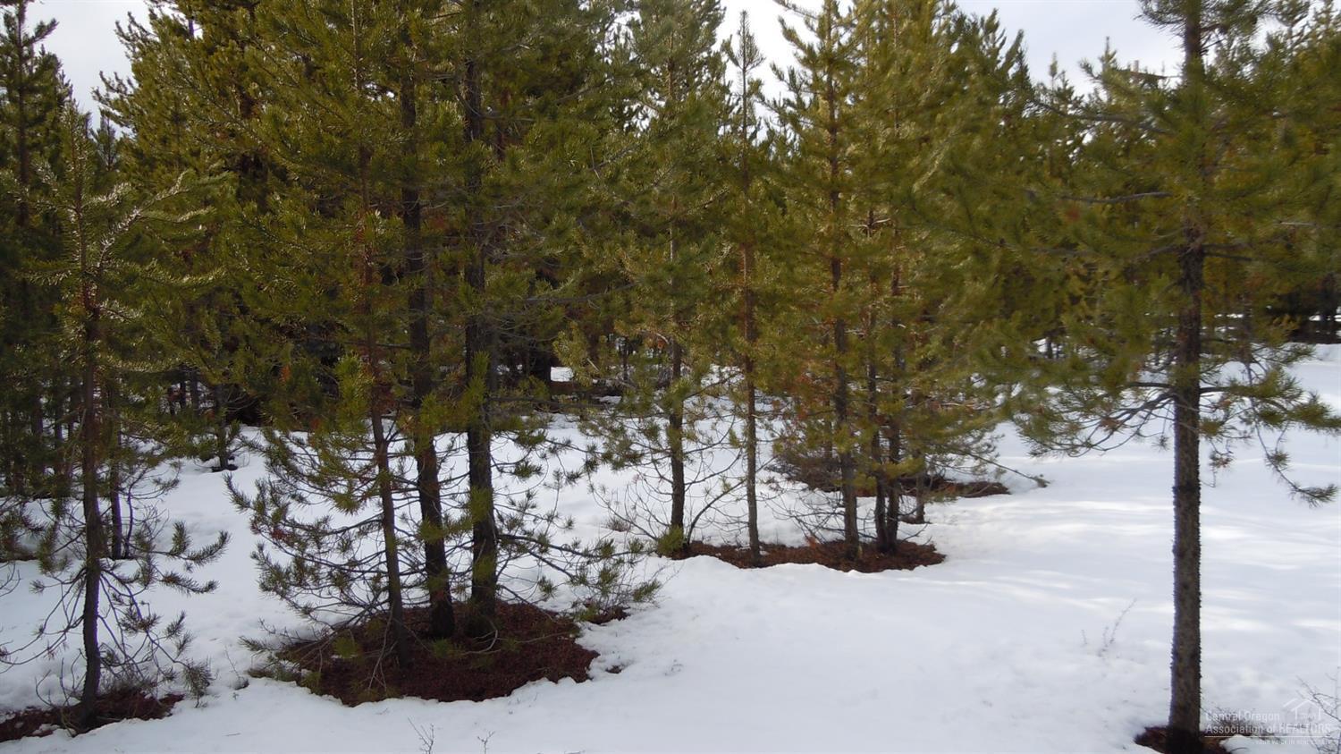 Two Rivers North - Land