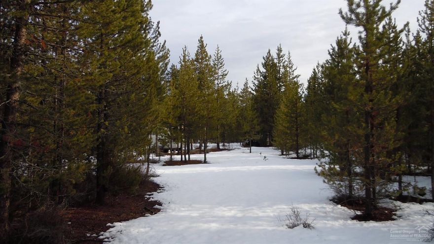 1.06 acre with ELECTRIC and a well. Excellent area close to forest land and numerous trails for horse back riding, quading, snowmobiling or just a casual walk through the woods. Enjoy the wildlife that lives in and around the area. Owner will carry.