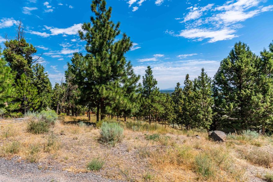 Awesome home site on the westside.  .31 acres with a gentle slope for an easy build.  This nicely treed lot has views of the city and much more.  Rivers Edge Village is a private and secluded residential community.  Work in Bend and have a short commute home!