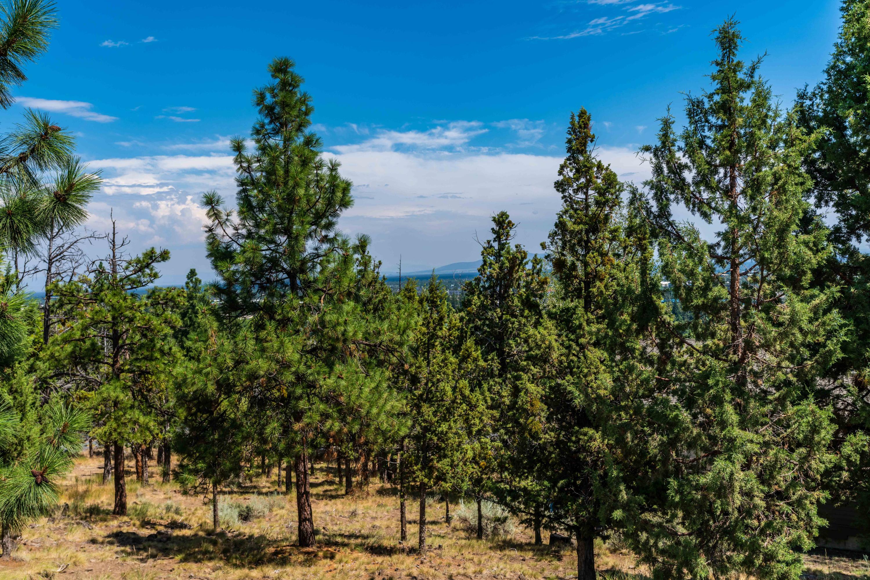 Rivers Edge Village - Land