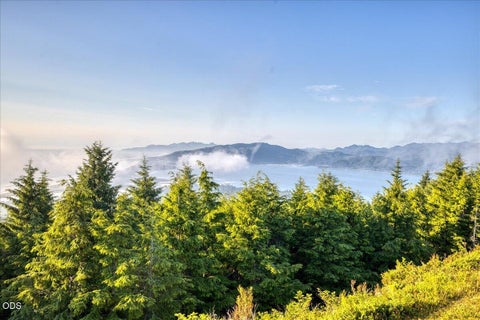 Tiny photo for 1500 Netarts Highway W, Tillamook, OR 97141 (MLS # 220226137)