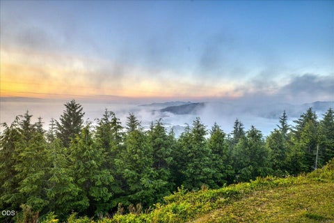 Tiny photo for 1500 Netarts Highway W, Tillamook, OR 97141 (MLS # 220226137)